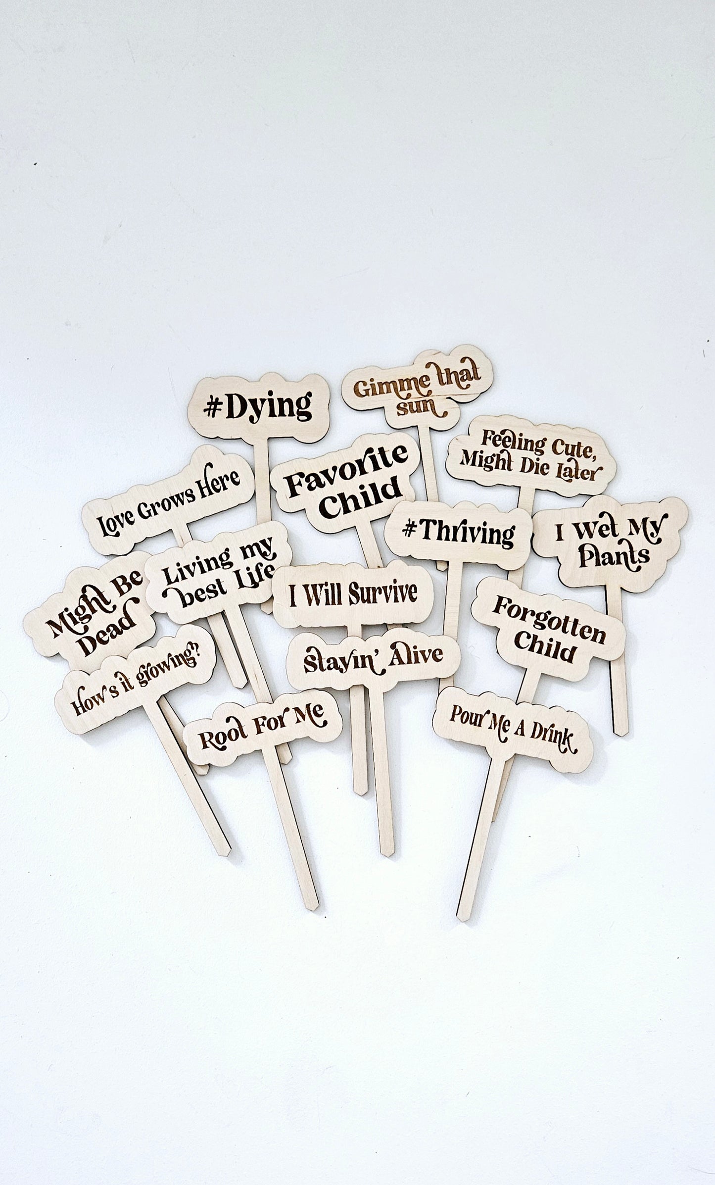 Funny Personalized Wooden Plant Stakes