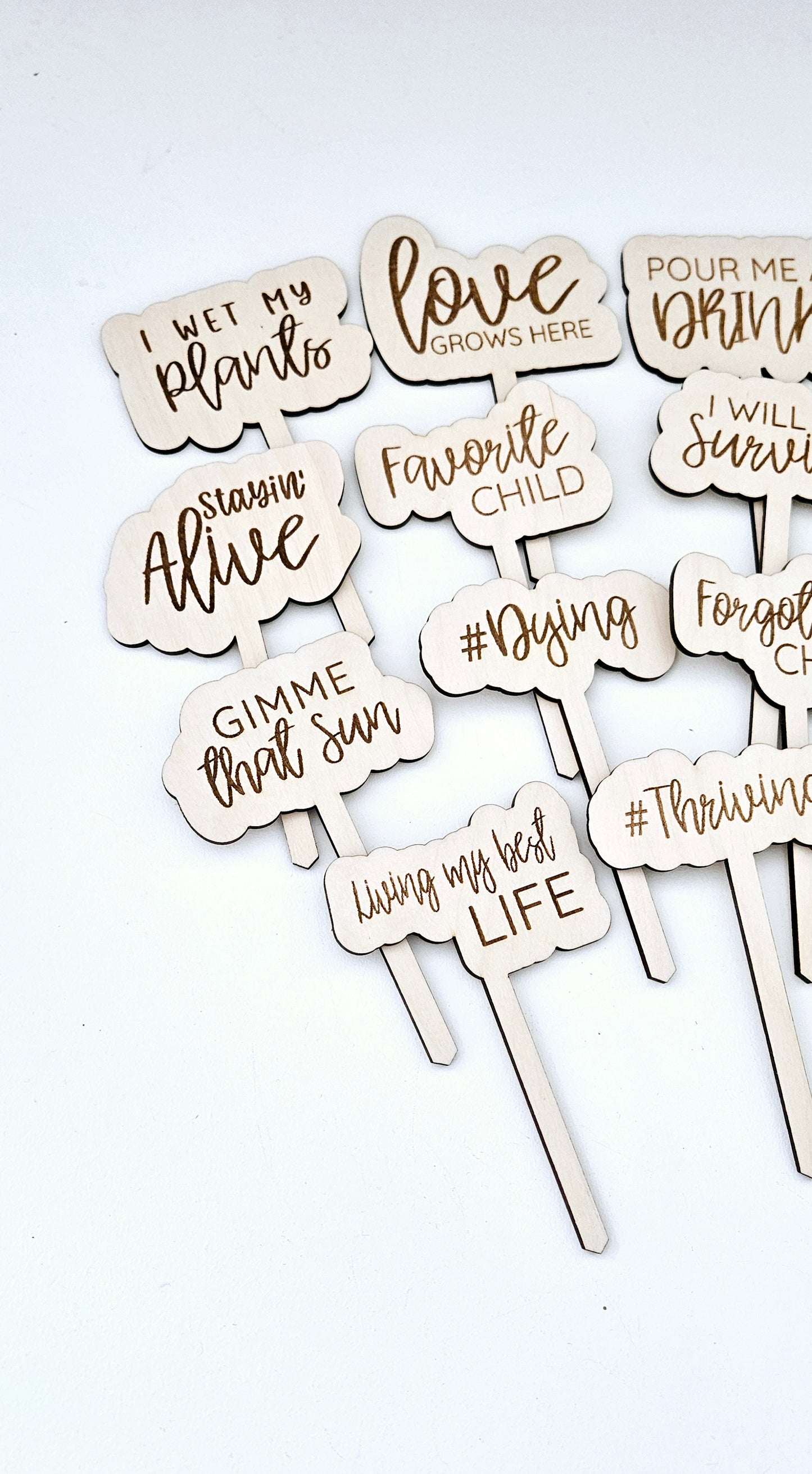 Funny Personalized Wooden Plant Stakes