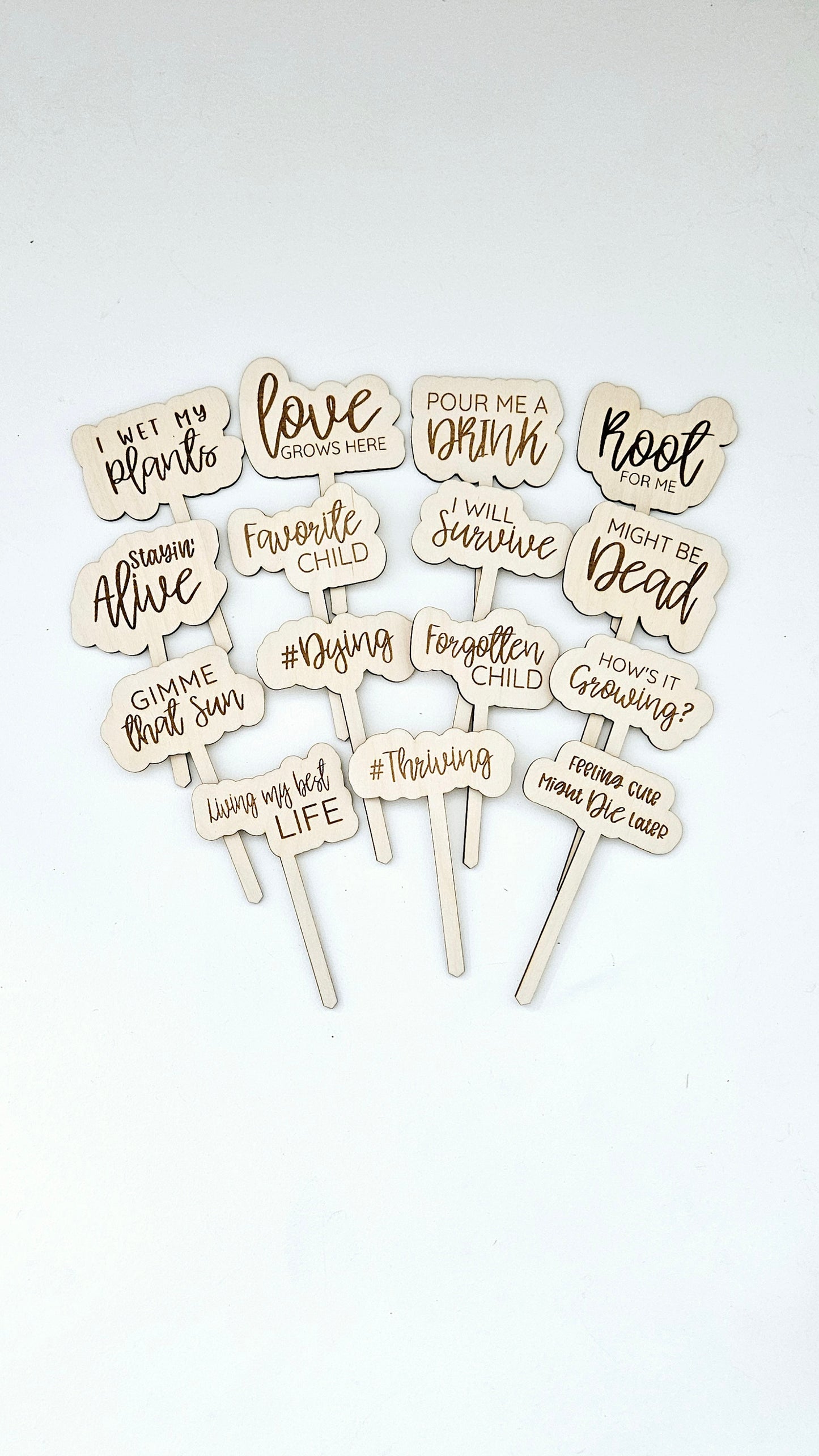 Funny Personalized Wooden Plant Stakes