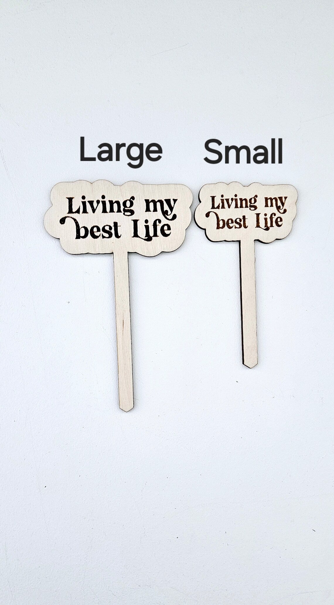 Funny Personalized Wooden Plant Stakes