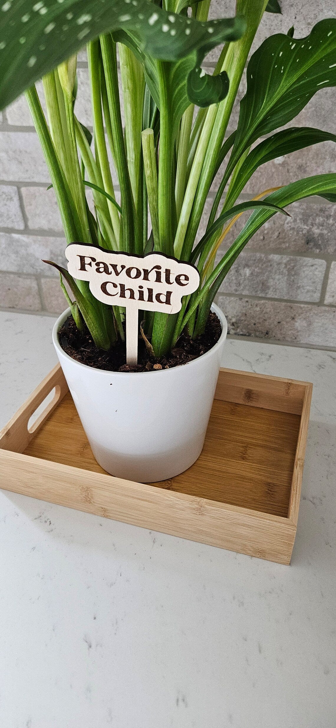 Funny Personalized Wooden Plant Stakes