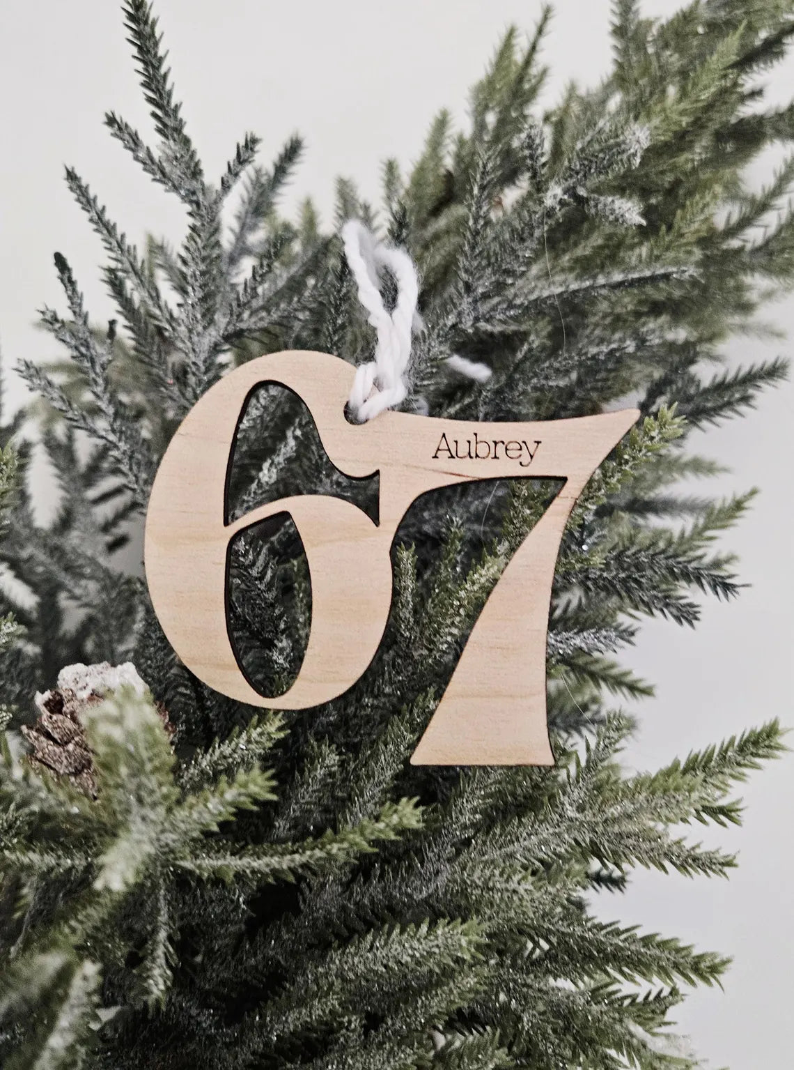 Personalized Viral 67 Wooden Ornament